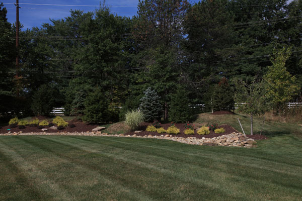 Privacy Bed Along Property Line